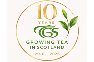 10 years tea making and growing in Scotland