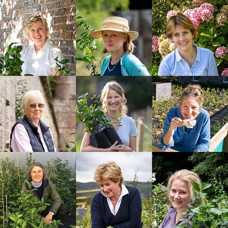 Nine lady tea planters