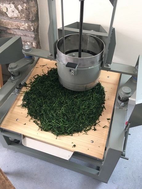 tea being rolled
