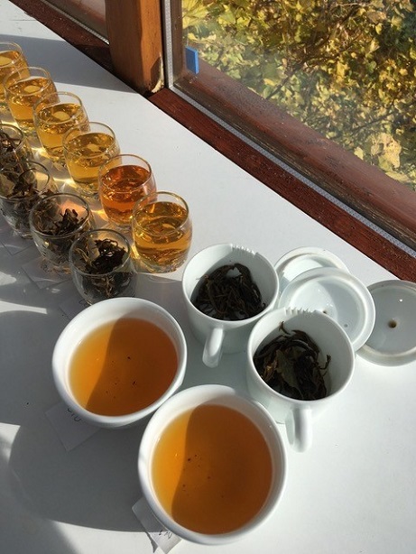 tea tasting