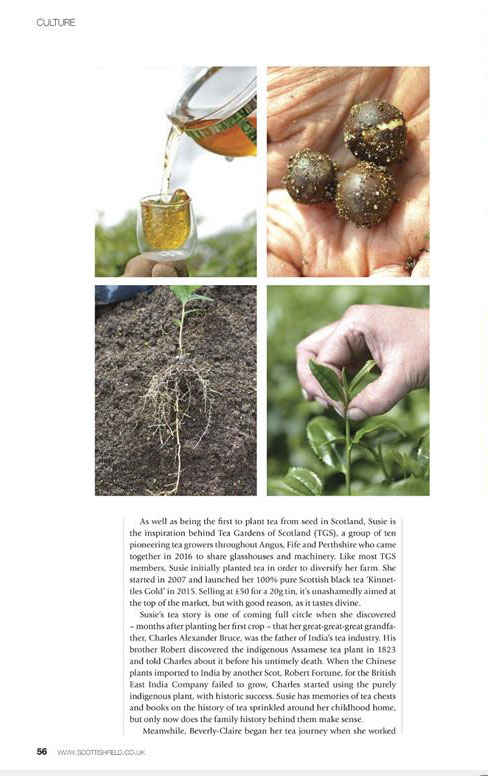 Tea gardens of Scotland in the press