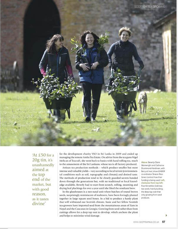 Tea gardens of Scotland in the press