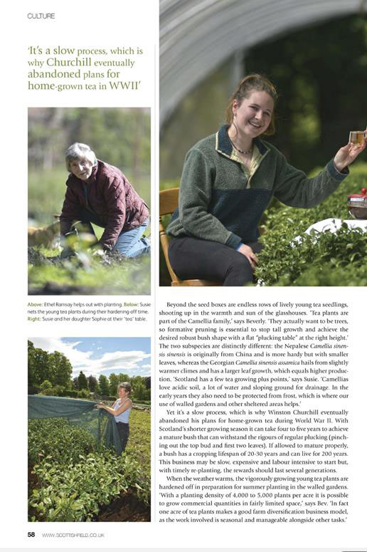 Tea gardens of Scotland in the press