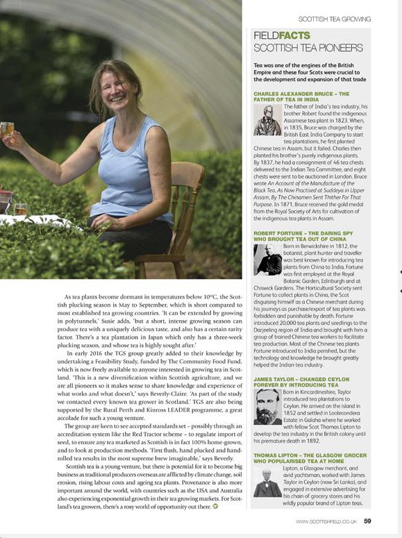 Tea gardens of Scotland in the press