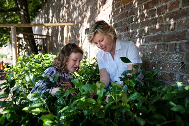 St Martins Tea Garden