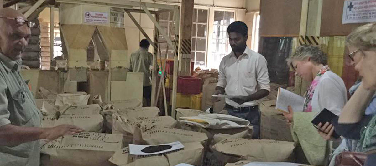 tea trading - SRI-LANKA