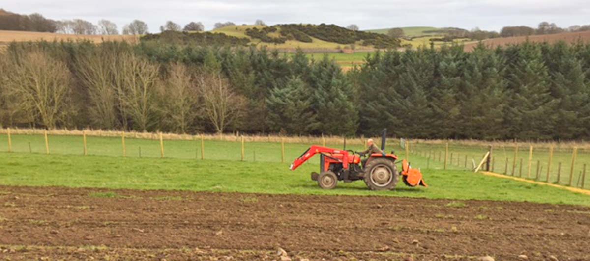 tractor ploughing tea plantation in Scotland
