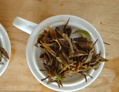 tea varieties