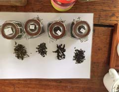 Tea making experiments