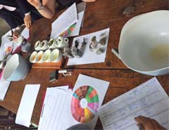 tea tasting