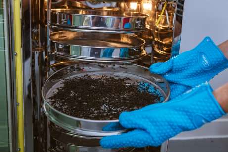 drying tea