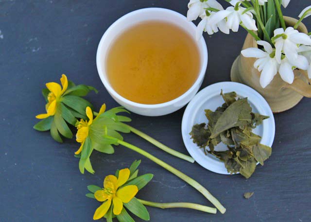 tea batch experimental