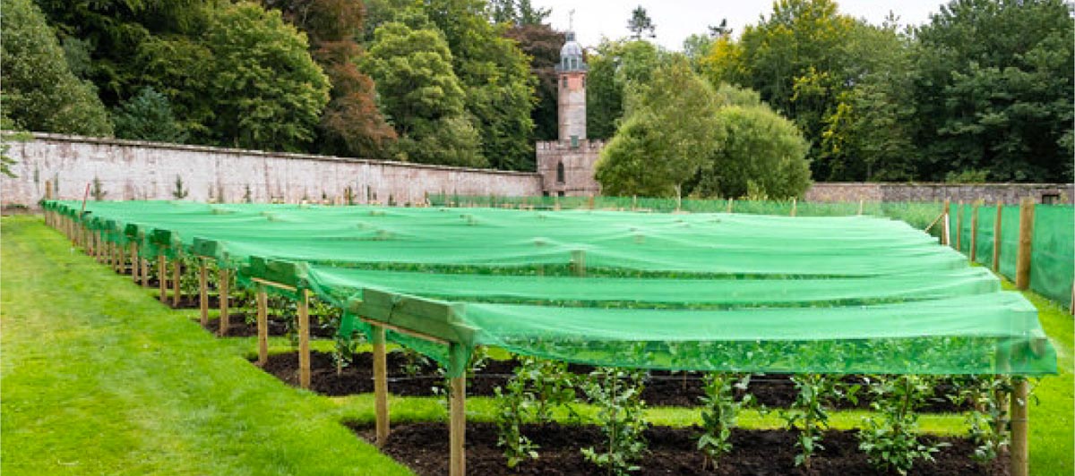 Walled garden quadrant