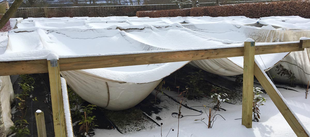 Rankeilour winter protection