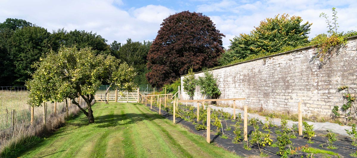 Rankeilour walled garden