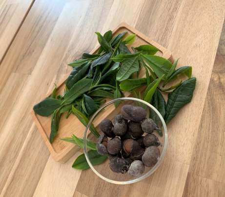 picked tea leaves