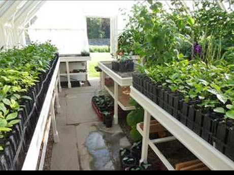 seedling root trainers