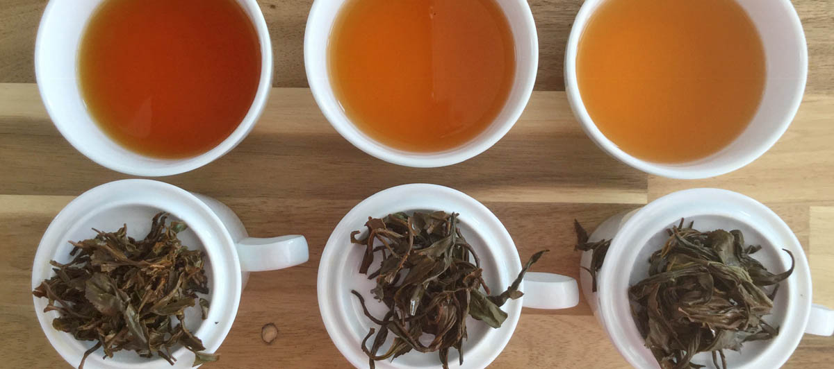 Scottish tea factory