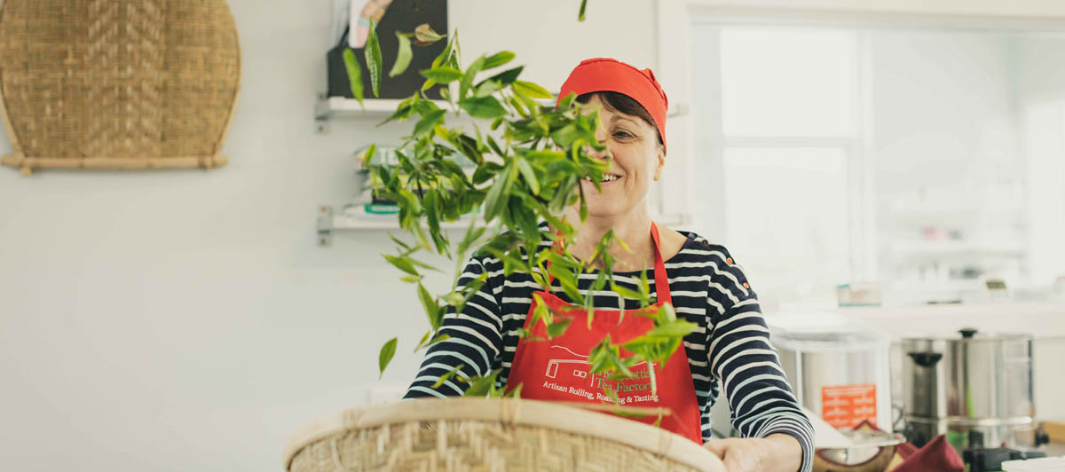 Teaching tea making
