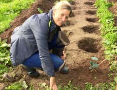tea grower