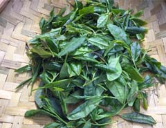 Tea making experiments
